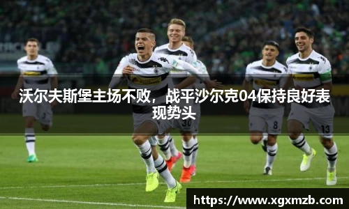 沃尔夫斯堡主场不败，战平沙尔克04保持良好表现势头