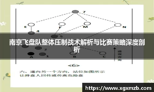 南京飞盘队整体压制战术解析与比赛策略深度剖析