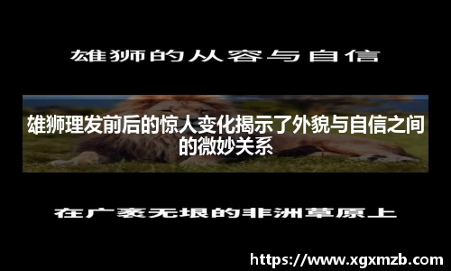 雄狮理发前后的惊人变化揭示了外貌与自信之间的微妙关系